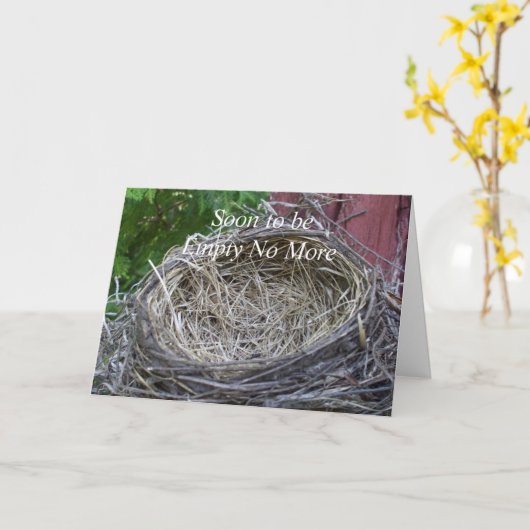 Lege nesten-dan heeft twee vogeleieren kaart (Gele Bloem)