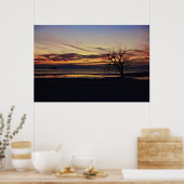 Lege Nests in een dode boom Poster (Keuken)