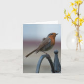 Lege Notecard met Britse Robin Kaart (Gele Bloem)