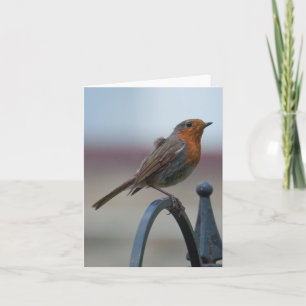 Lege Notecard met Britse Robin Kaart