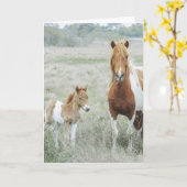 Lege paarden- en kalkoenvlees kaart (Gele Bloem)