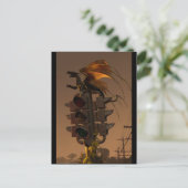 Lege Rage van J. Matthew Root Briefkaart (Staand voorkant)