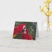 Lege Rode Papegaai Wenskaarten Kaart (Gele Bloem)