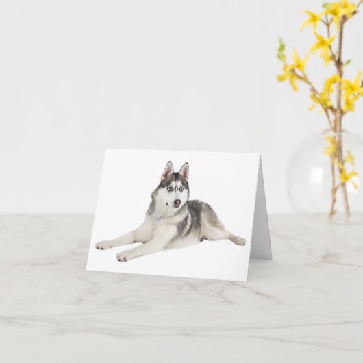 Lege Siberische Husky Puppy Dog Hallo van je Kaart (Gele Bloem)