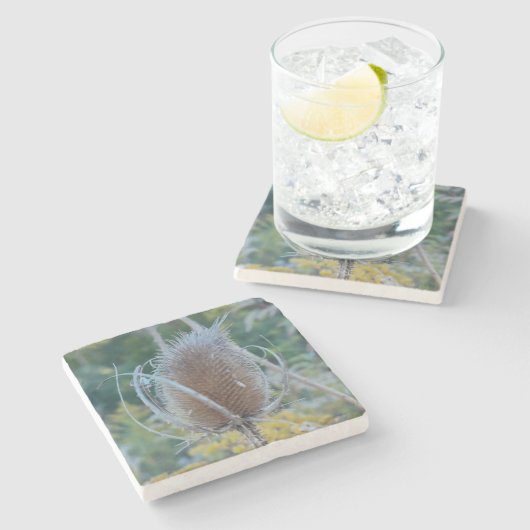 Lege teasel stenen onderzetter (Zijkant)