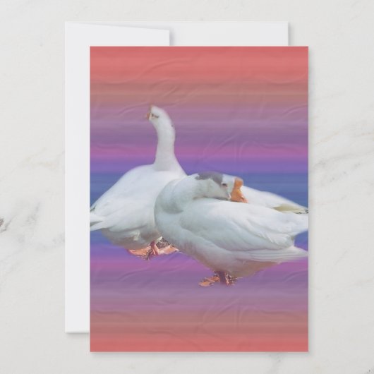 lege uitnodiging, alle doeleinden kaart (Achterkant)