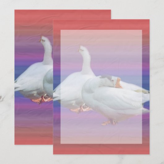 lege uitnodiging, alle doeleinden kaart (Voorkant / Achterkant)