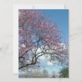 lege uitnodiging, kersbloesem boom kaart (Achterkant)
