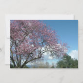 lege uitnodiging, kersenbloesemboom kaart (Achterkant)