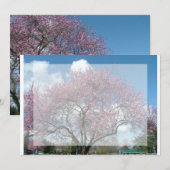 lege uitnodiging, kersenbloesemboom kaart (Voorkant / Achterkant)