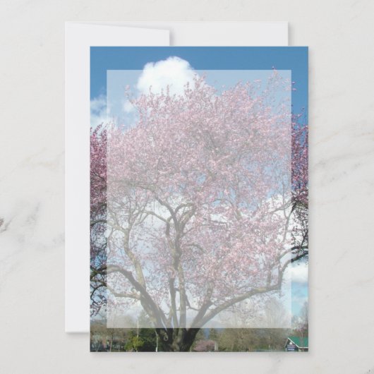 lege uitnodiging, kersenbloesemboom kaart (Voorkant)