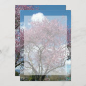 lege uitnodiging, kersenbloesemboom kaart (Voorkant / Achterkant)