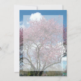 lege uitnodiging, kersenbloesemboom kaart