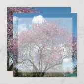 lege uitnodiging, kersenbloesemboom kaart (Voorkant / Achterkant)