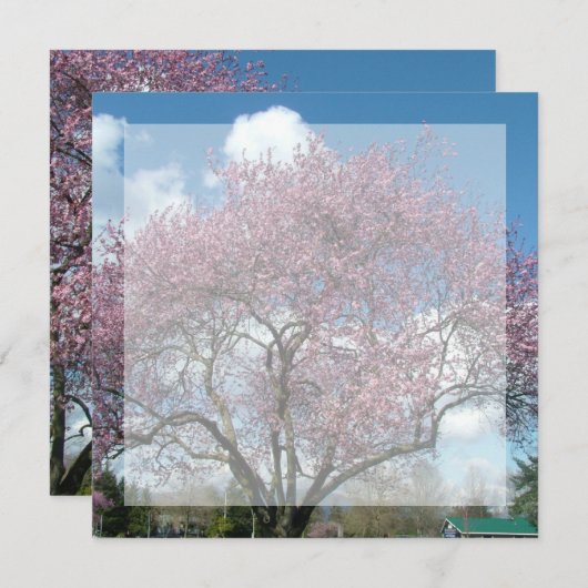 lege uitnodiging, kersenbloesemboom kaart (Voorkant / Achterkant)