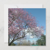 lege uitnodiging, kersenbloesemboom kaart (Achterkant)