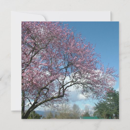 lege uitnodiging, kersenbloesemboom kaart (Achterkant)