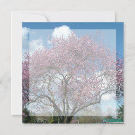 lege uitnodiging, kersenbloesemboom kaart