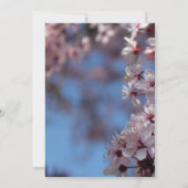 lege uitnodiging, kersenbloesemboom kaart (Achterkant)