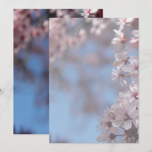 lege uitnodiging, kersenbloesemboom kaart (Voorkant / Achterkant)