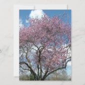 lege uitnodiging, kersenbloesemboom kaart (Voorkant)