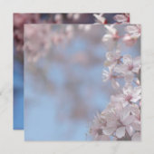 lege uitnodiging, kersenbloesemboom kaart (Voorkant / Achterkant)