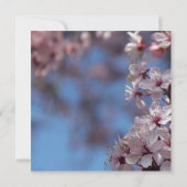 lege uitnodiging, kersenbloesemboom kaart (Achterkant)