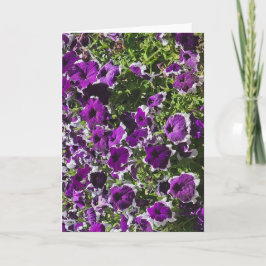 Lege wenskaart met paarse bloemen kaart
