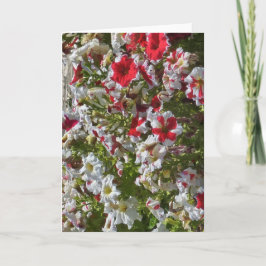 Lege wenskaart met rode en witte bloemen kaart