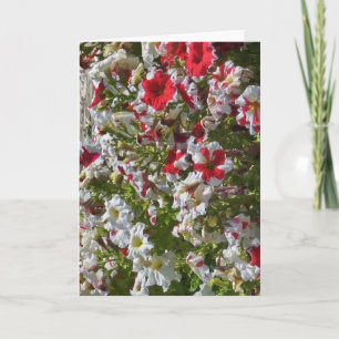 Lege wenskaart met rode en witte bloemen kaart