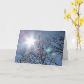 Lege Wenskaarten Kaart (Gele Bloem)