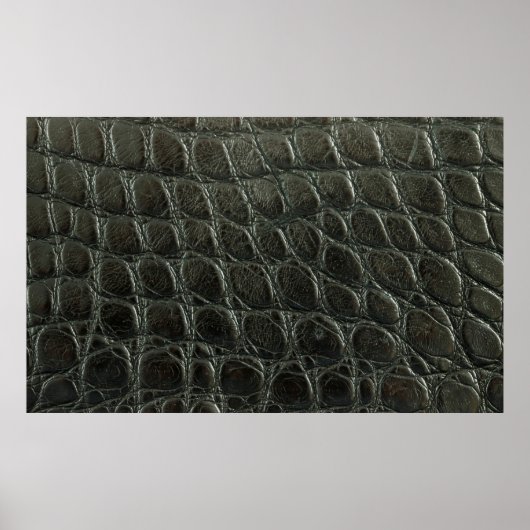 Lege zwarte alligator lederen textuur, dicht bij e poster (Voorkant)