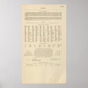 Legend 16667 Australië Poster