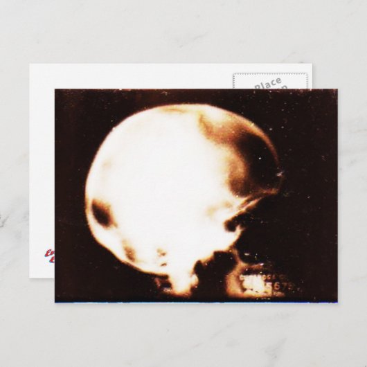 Legend Briefkaart (Voorkant / Achterkant)