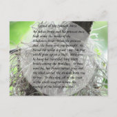 Legend of the Spanish Moss Briefkaart (Voorkant)