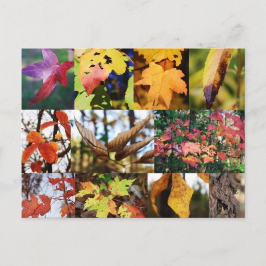 Legenda van de Herfst poëzie Card Briefkaart (Voorkant)