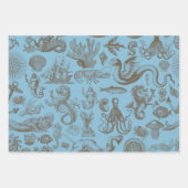 Legenda van de papierbladen voor het oppakken van  inpakpapier vel (Voorkant 3)