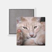 Legendarische proporties magneet (Voorkant / Achterkant)