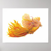 Legendary Phoenix Bird Poster (Voorkant)