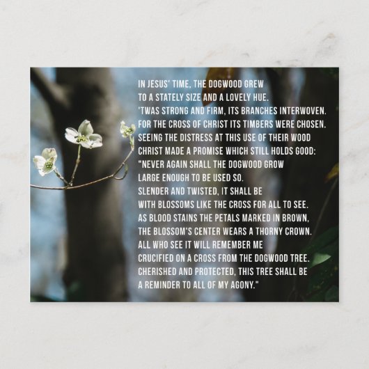 Legende van de Dogwood Briefkaart (Voorkant)