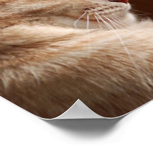 Legende van de Sphynx Poster (Hoek)