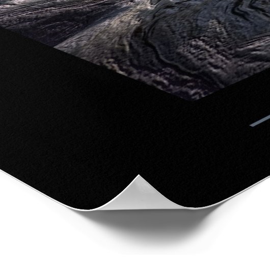 Légendes d'Amazonie Poster (Hoek)