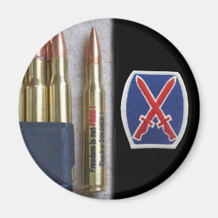 leger 10e bergdiv iraq nam vet vfw Magnet