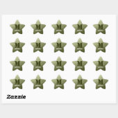 Leger lichtgroen geometrisch gaas patroon Monogram Ster Sticker (Vel)
