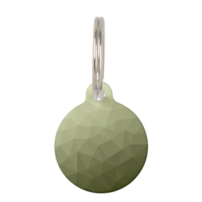 Leger lichtgroene verloop geometrisch mesh patroon huisdierpenning (Voorkant)