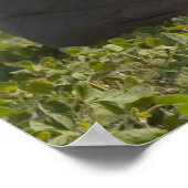 Leger Paratrooper Poster (Hoek)