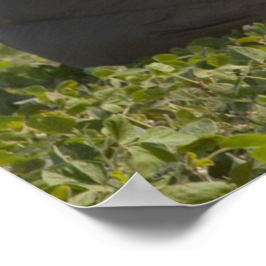 Leger Paratrooper Poster (Hoek)