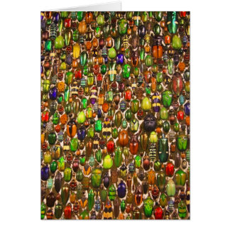Leger van Beetles en Bugs