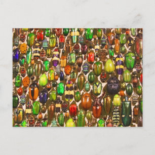 Leger van Beetles en Bugs Briefkaart