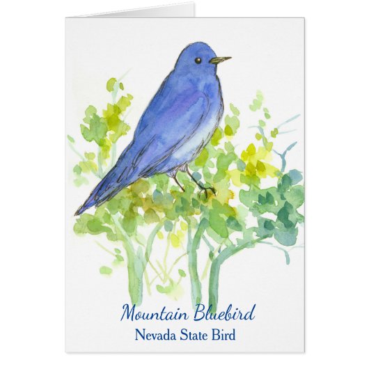 Leger van de bergen Bluebird Nevada (Voorkant)